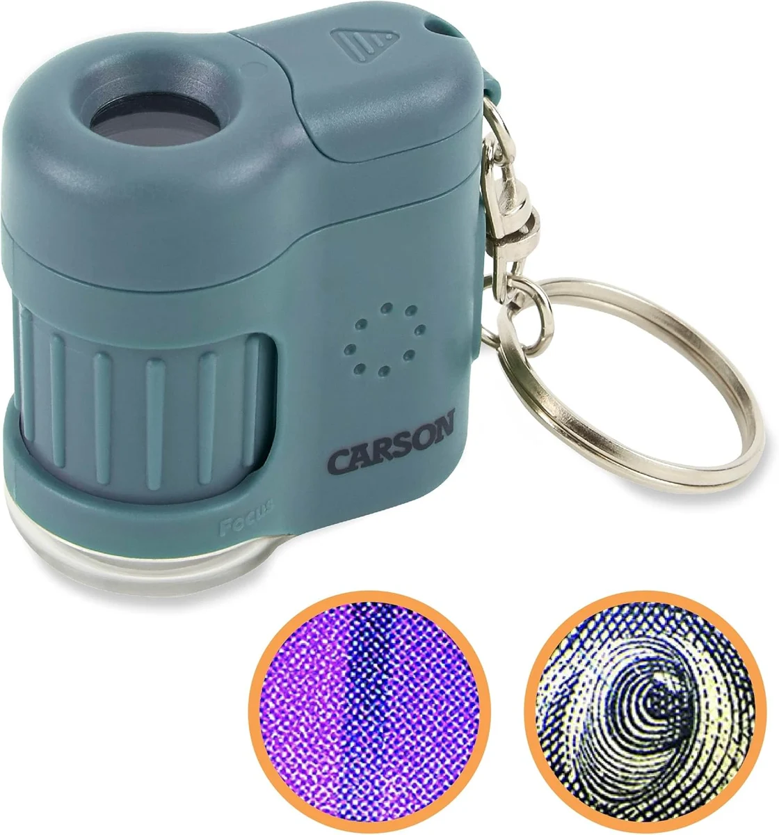 The Tiny Microscope That Turns Walks Into Field Trips